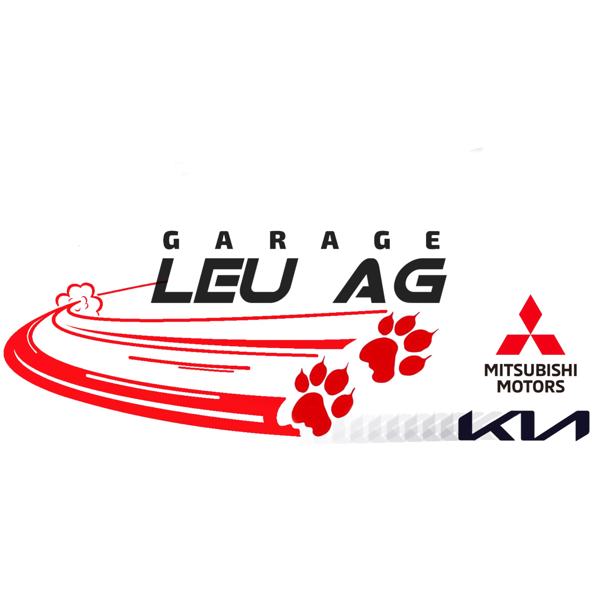 Garage Leu AG